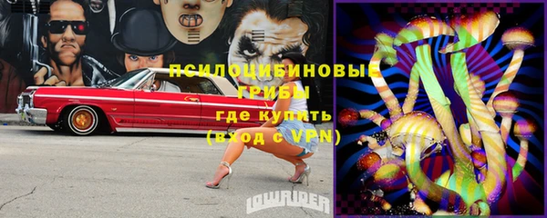 стафф Няндома