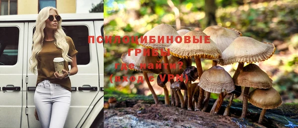 стафф Няндома